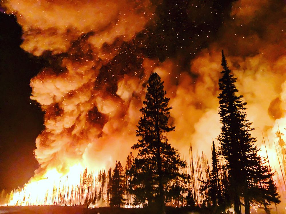 Uncontrollable wildfire, forest fire. Original public domain image from Flickr
