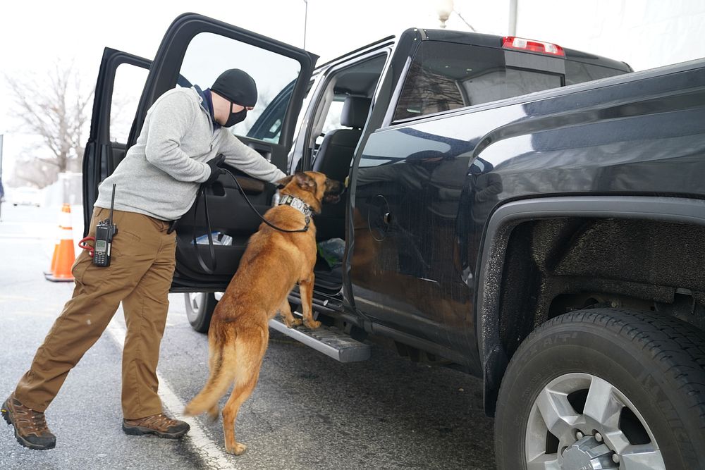 Canines conduct a sweep of vehicles entering a restricted area near the U.S. Capitol as U.S. Customs and Border Protection…