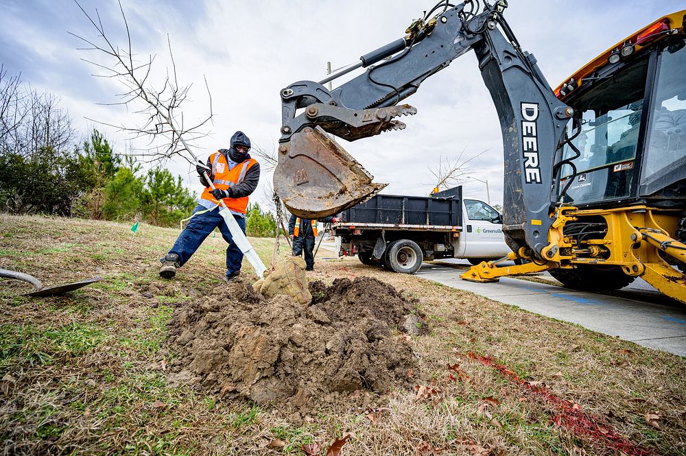 Tree Planting on Regency BlvdPublic Works plants trees along Regency Boulevard on Tuesday, February 2, 2021.