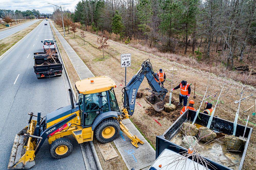 Tree Planting on Regency BlvdPublic Works plants trees along Regency Boulevard on Tuesday, February 2, 2021.