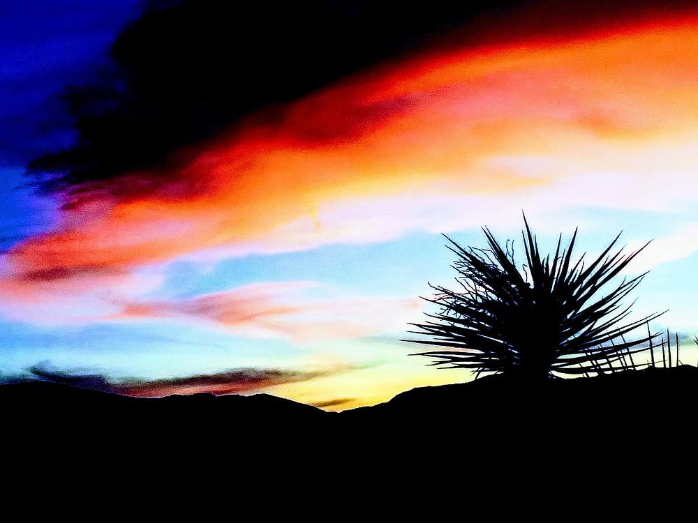 Sunset over Mojave Yucca, California