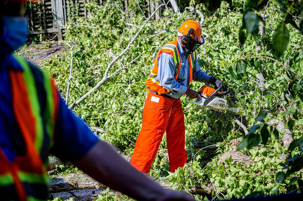 Public Works crews remove fallen trees and storm debris following Hurricane Isaias on Tuesday, August 4, 2020. Original…