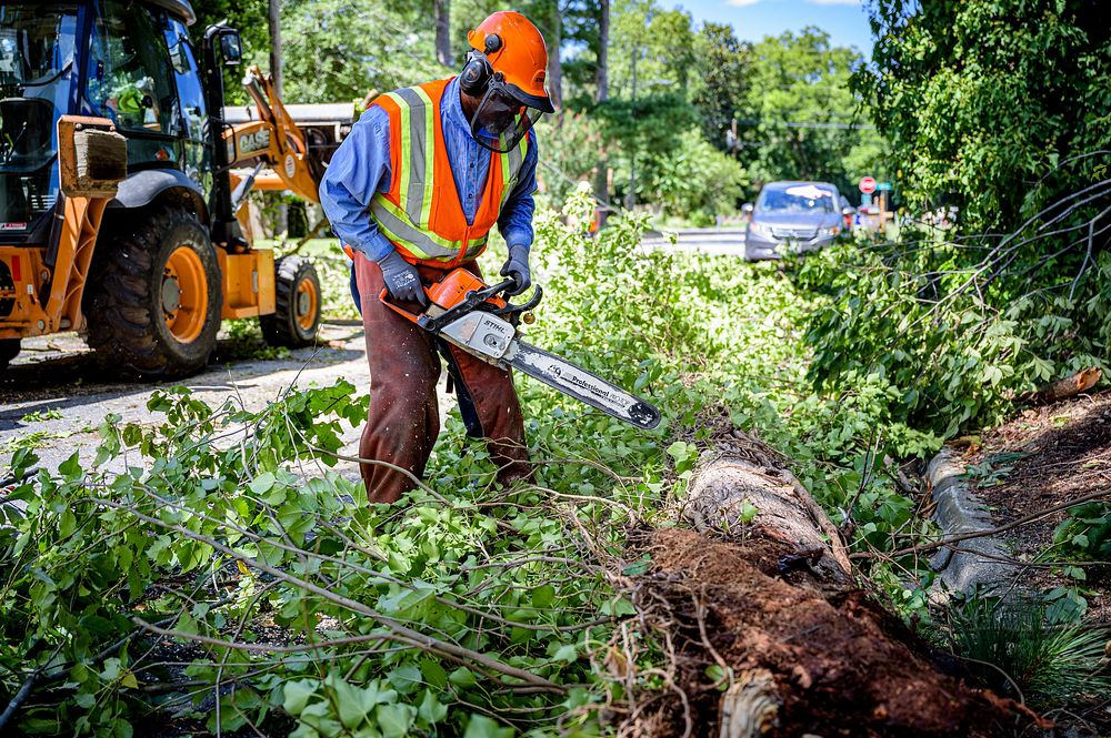 Public Works crews remove fallen trees and storm debris following Hurricane Isaias on Tuesday, August 4, 2020. Original…
