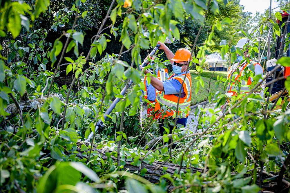 Public Works crews remove fallen trees and storm debris following Hurricane Isaias on Tuesday, August 4, 2020. Original…