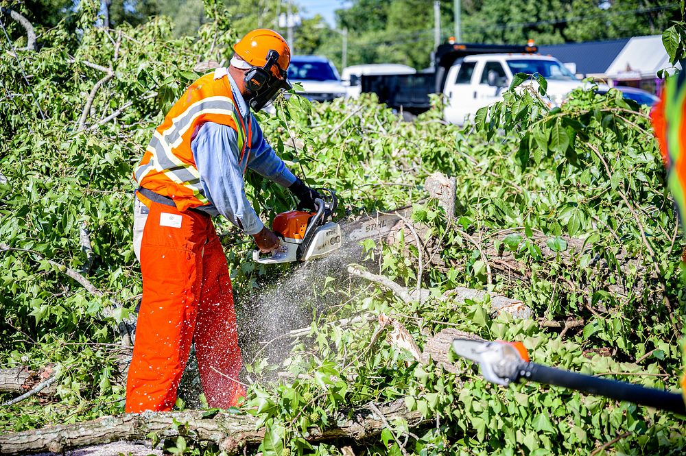 Public Works crews remove fallen trees and storm debris following Hurricane Isaias on Tuesday, August 4, 2020. Original…