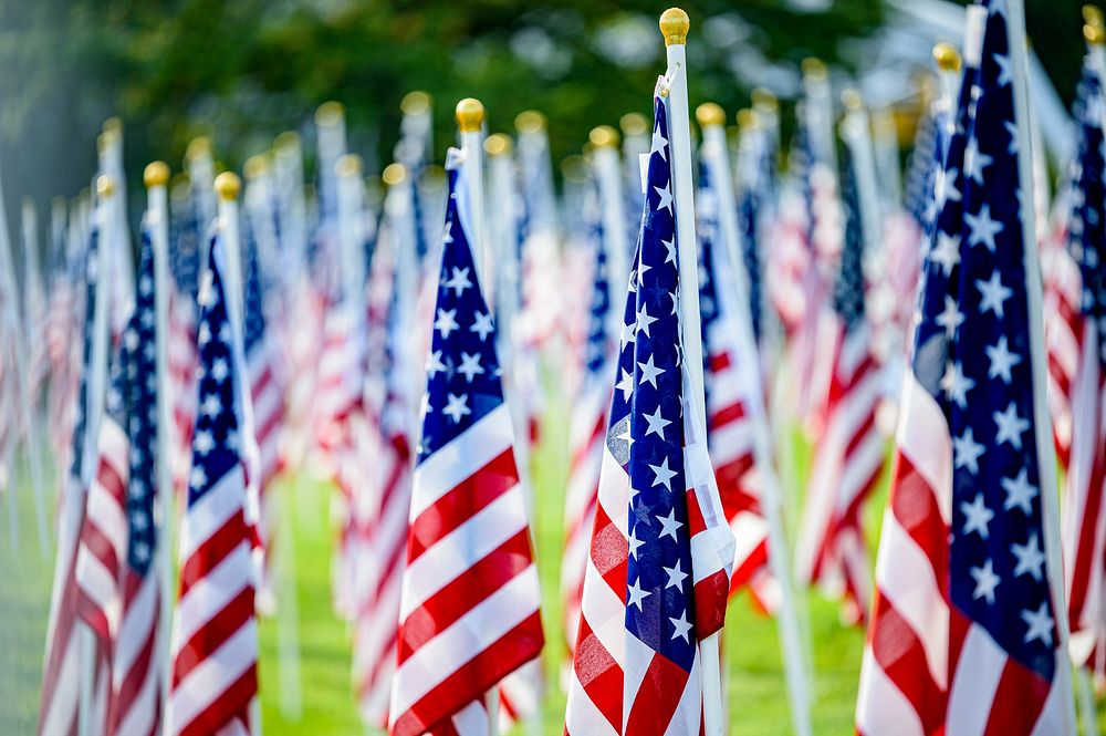 American flags at field of honor ceremony