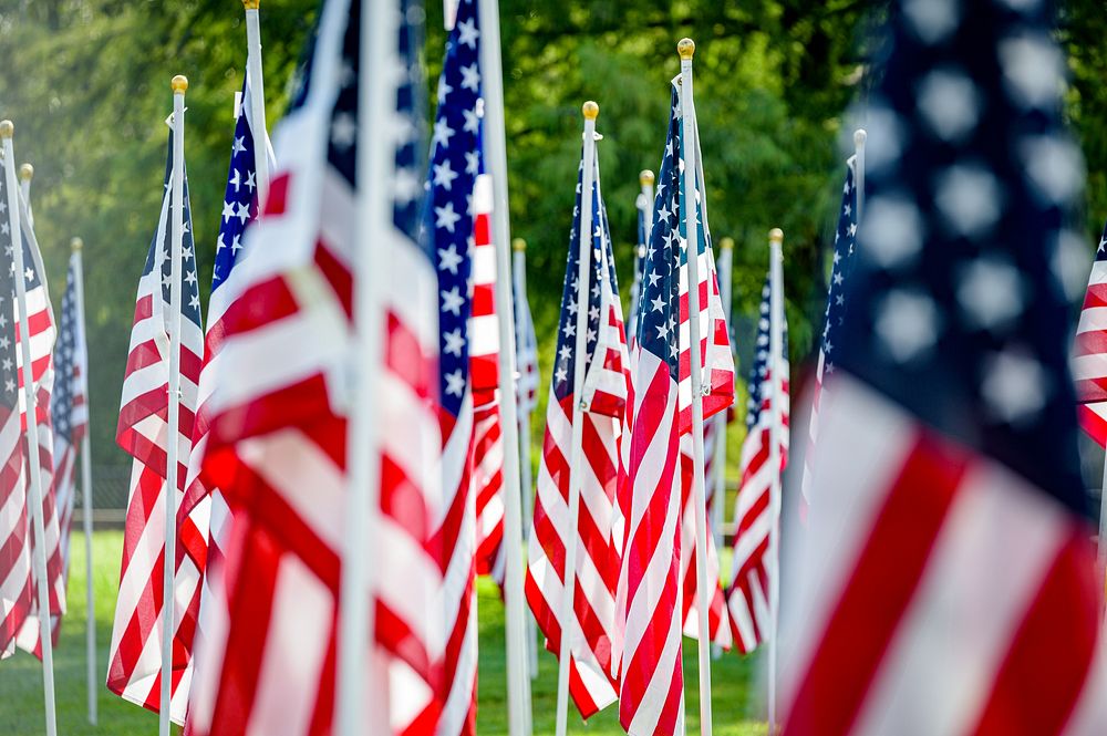  American flags at field of honor