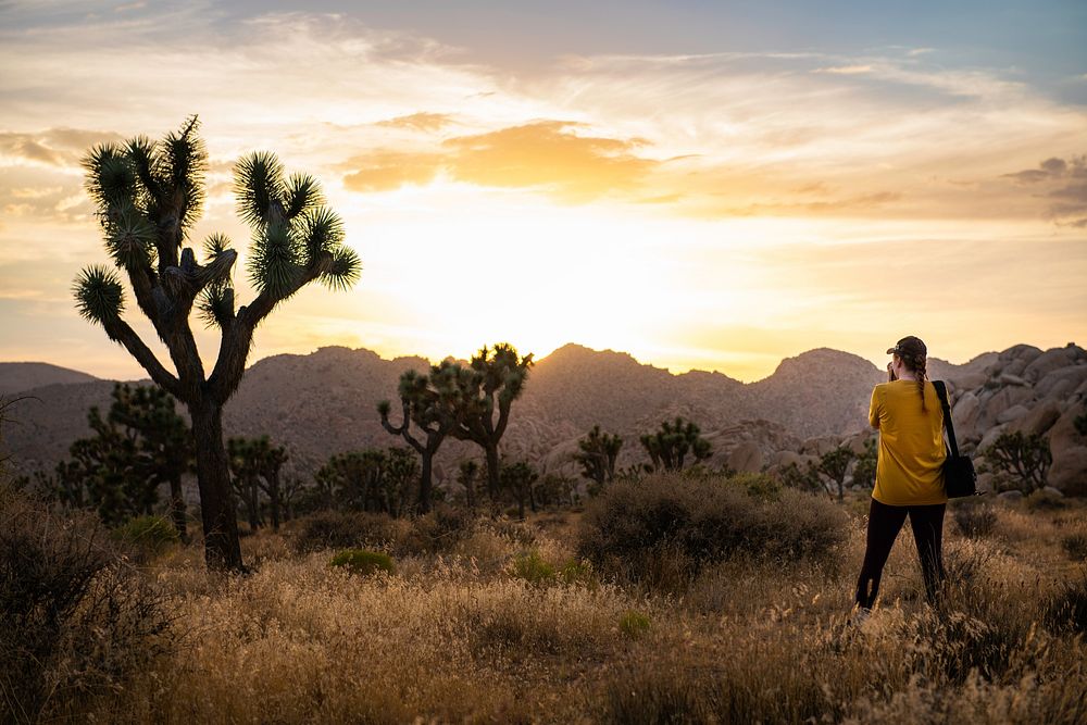 Hidden Valley area at sunset, Joshua Tree National Park, California