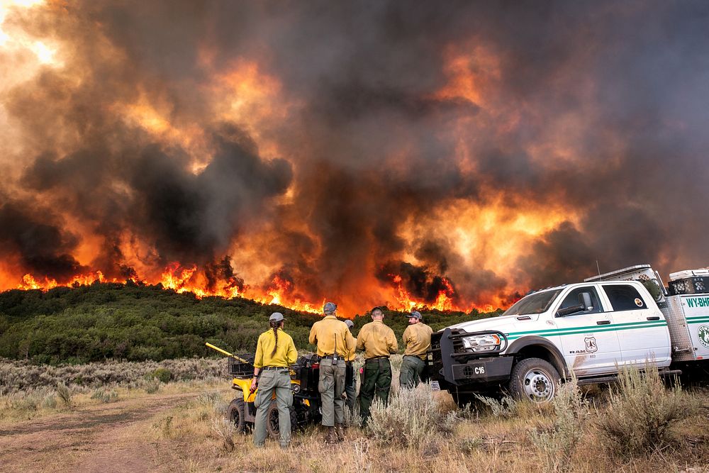Pine Gulch Fire. The Pine Bulch Fire in Colorado. Photo by Eric Coulter, BLM. Original public domain image from Flickr