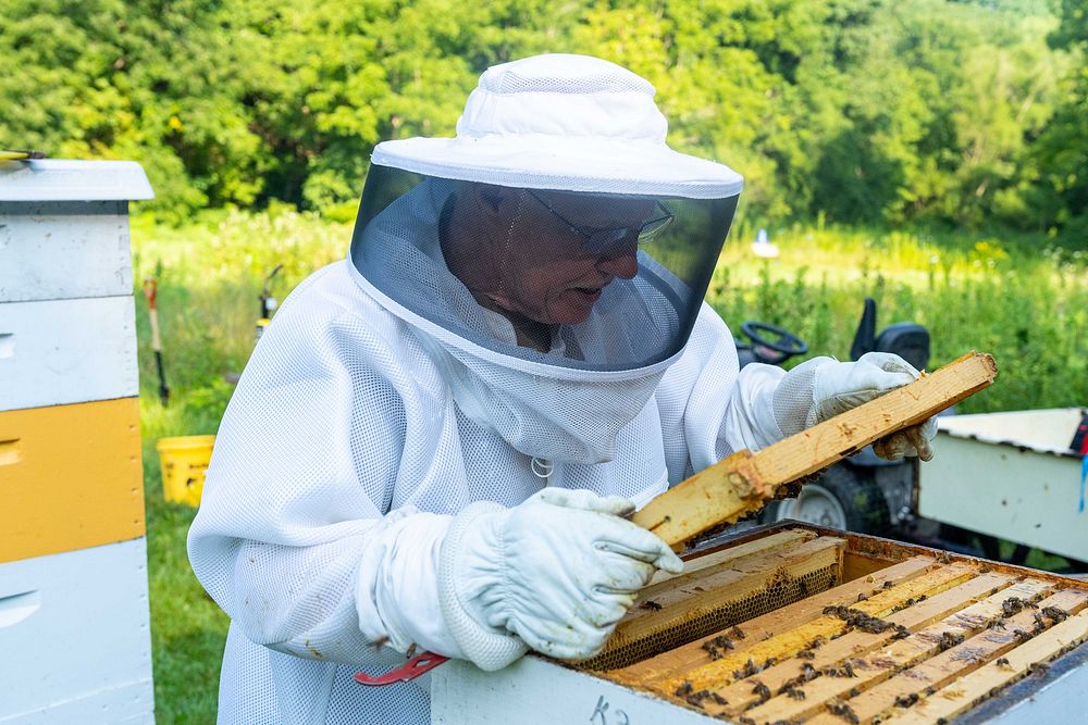 John Wynn tends to his honeybees at Wynn Farm in North Salem, IN Aug. 2, 2021. (NRCS photo by Brandon O'Connor). Original…