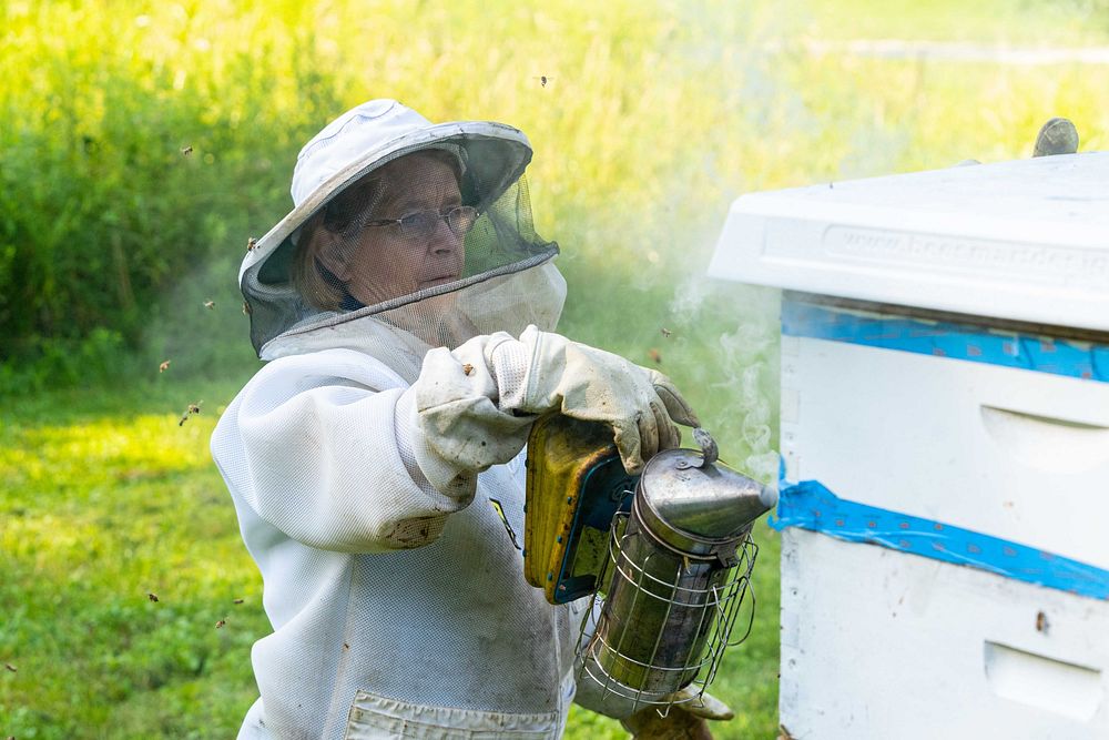 Ann Wynn tends to her honeybees at Wynn Farm in North Salem, IN Aug. 2, 2021. (NRCS photo by Brandon O'Connor). Original…