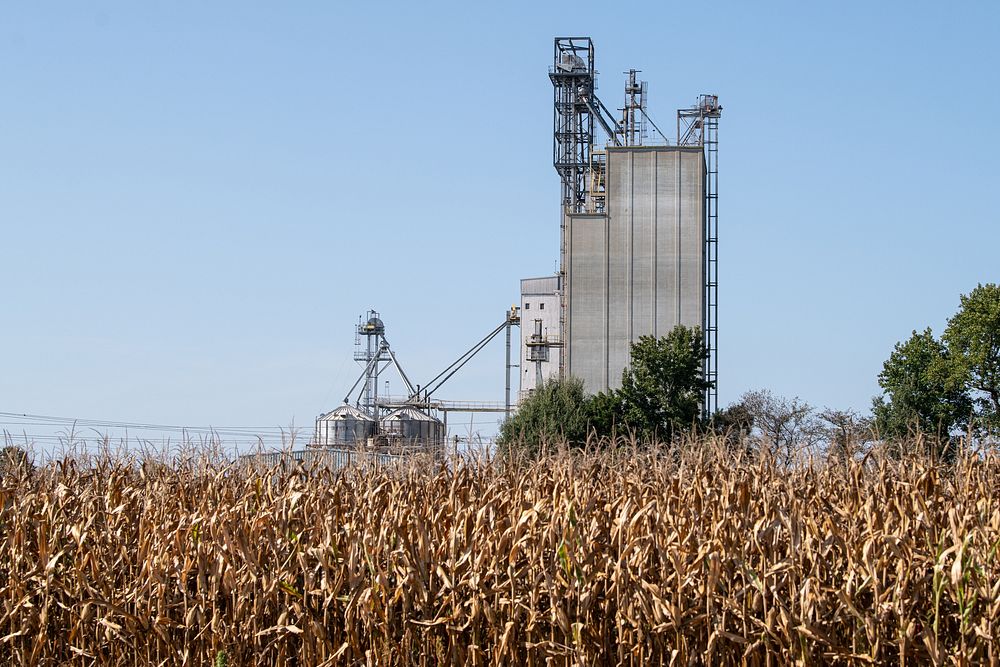 Corn fields and grain elevator. Original public domain image from Flickr