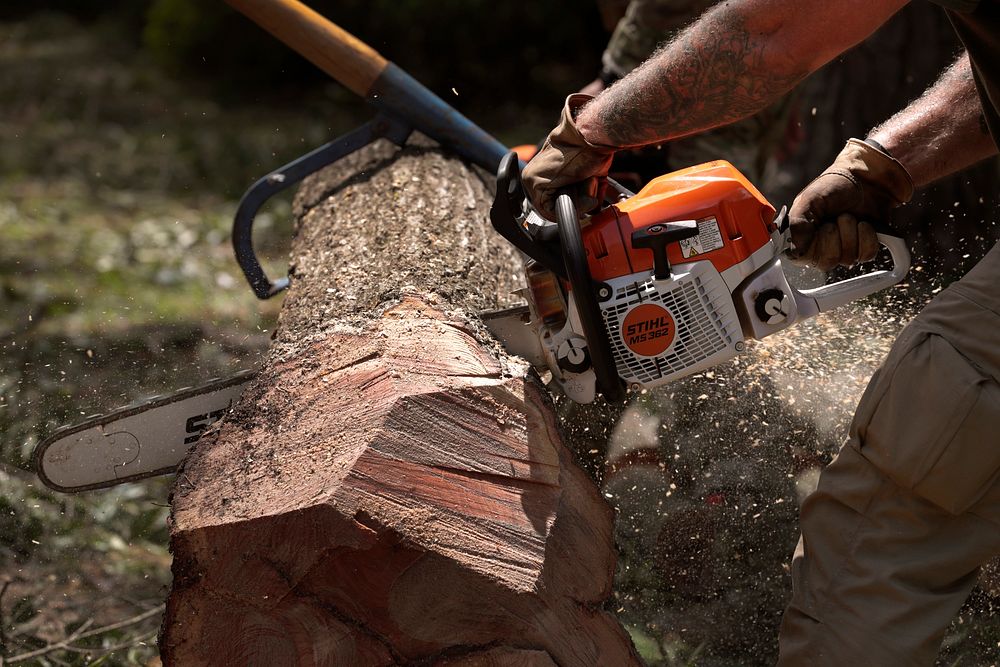 A chainsaw digs into a log as U.S. Border Patrol agents clear downed trees from residences in the wake of Hurricane Ida near…