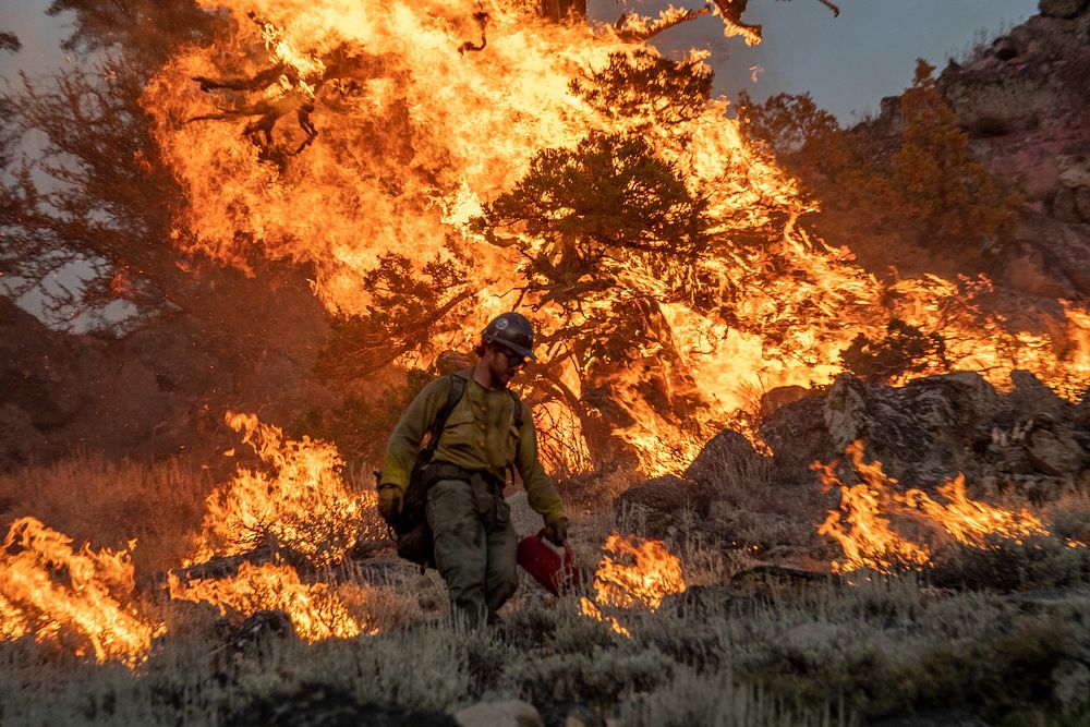 Ruby Mountain Hotshots. The Ruby Mountain interagency hotshot crew conducts burnout operations during the Dixie Fire, Lassen…