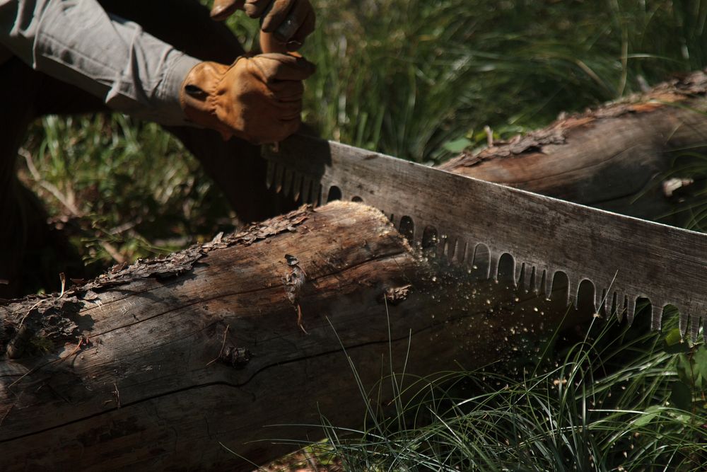 Gloved hands working a cross cut saw into a log. Original public domain image from Flickr