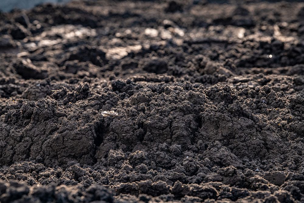 Dirt soil ground. Original public domain image from Flickr