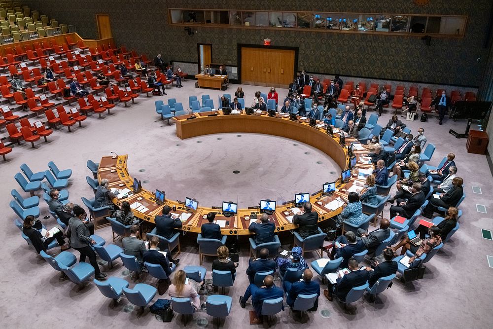 UN Security Council Meeting on Climate and Security. Original public domain image from Flickr