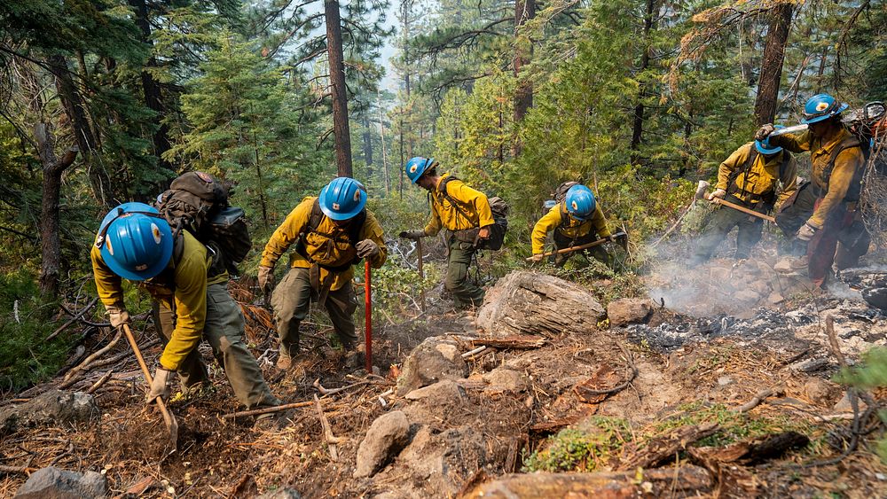 Blue Ridge Hot Shots dig a fireline on a steep-sloped mountain to suppress the Dixie Fire in Lassen National Forest…