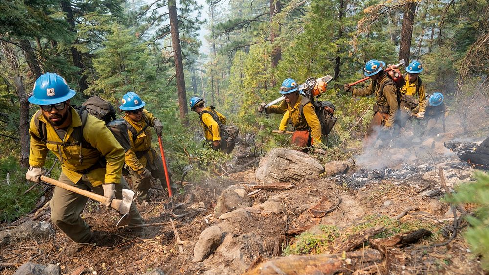 Blue Ridge Hot Shots dig a fireline on a steep-sloped mountain to suppress the Dixie Fire in Lassen National Forest…