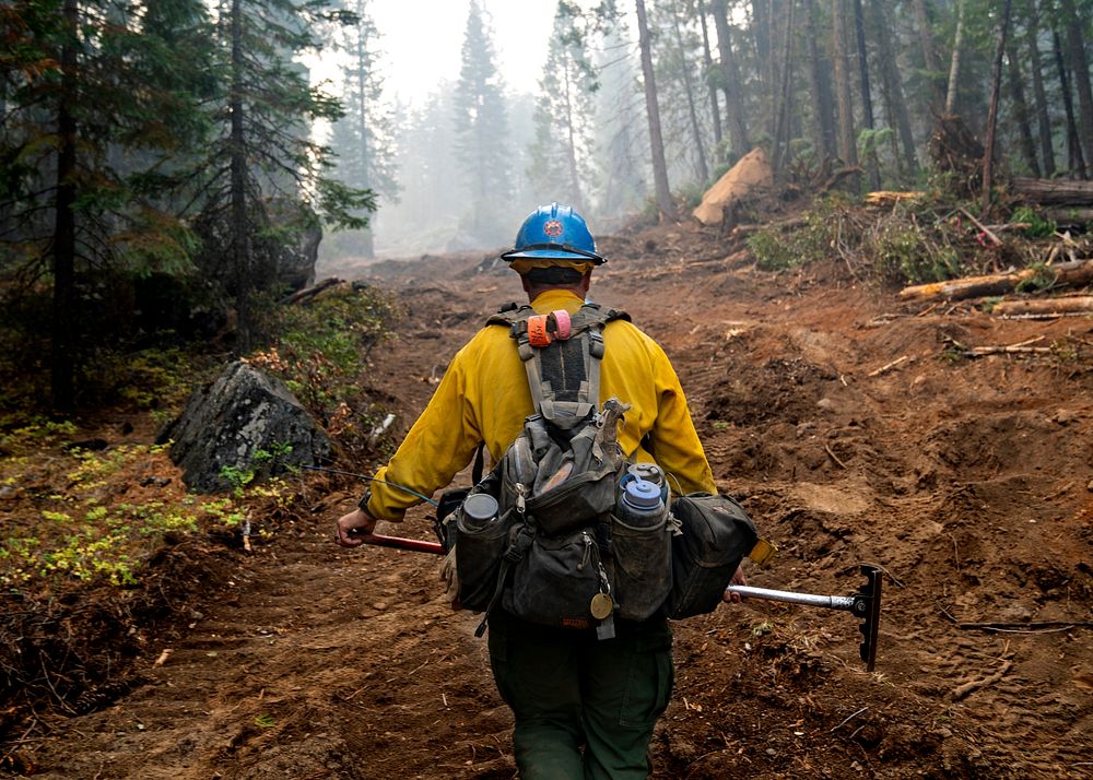 Firefighter at the Dixie Fire, Lassen National Forest, California. Original public domain image from Flickr