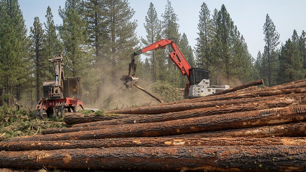 Heavy construction vehicles thin the forest as a fire suppression technique during the Dixie Fire in Lassen National Forest…