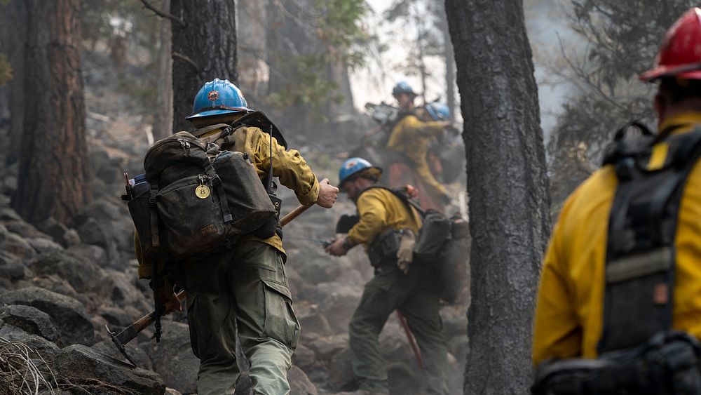Firefighters at the Dixie Fire, Lassen National Forest, California. Original public domain image from Flickr