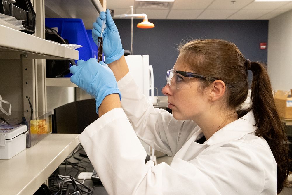 Scientists with CBP Laboratories and Scientific Services conduct drug testing at the Port of Memphis Forward Operating…