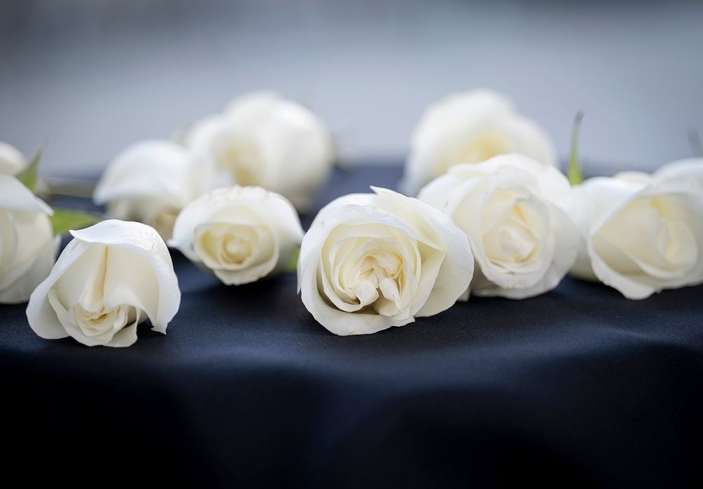 White roses, CBP Valor Memorial. Original public domain image from Flickr