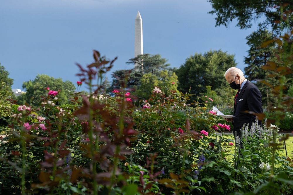 President Joe Biden walks through the Rose Garden, Monday, Aug. 30, 2021, on his way to the White House Library. (Official…