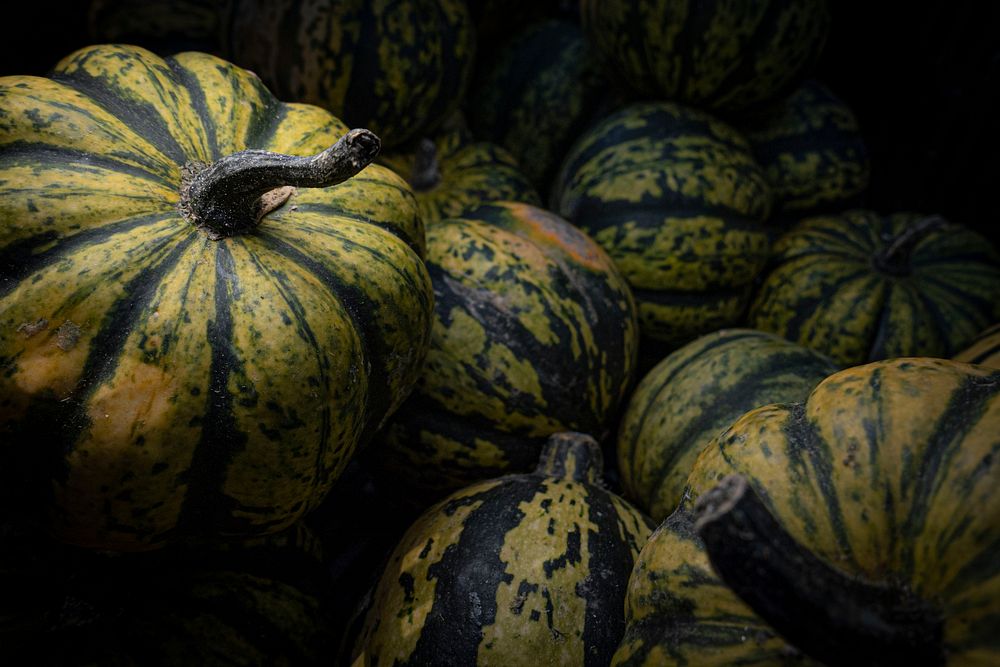 Squash & pumpkins, homegrown vegetable. Original public domain image from Flickr