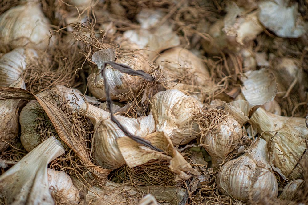 Garlic, Asian produce, herbs & spices. Original public domain image from Flickr