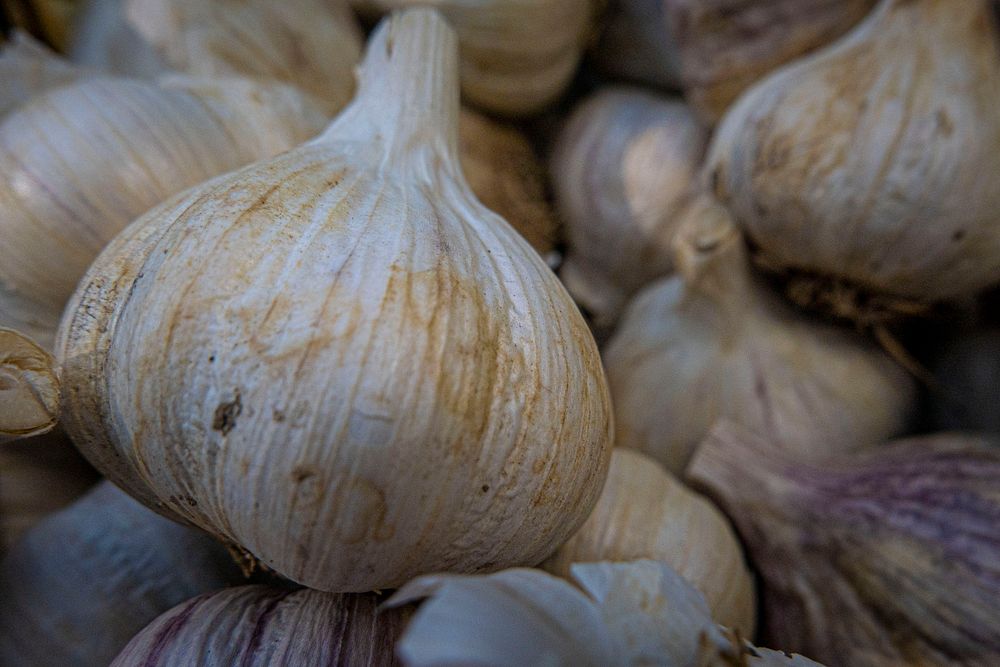 Garlic, vegetable, herbs & spices. Original public domain image from Flickr