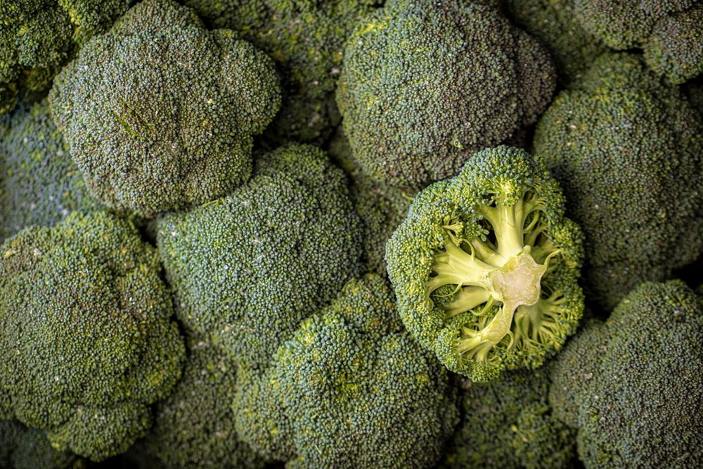 Broccoli, freshly picked vegetable. Original public domain image from Flickr