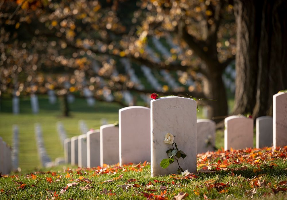 Veterans Day Observance, National Cemetery. Original public domain image from Flickr
