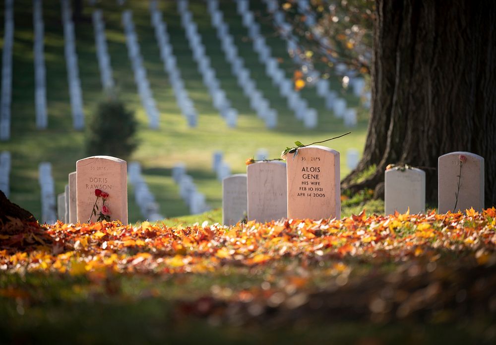 Veterans Day observance, national cemetery. Original public domain image from Flickr