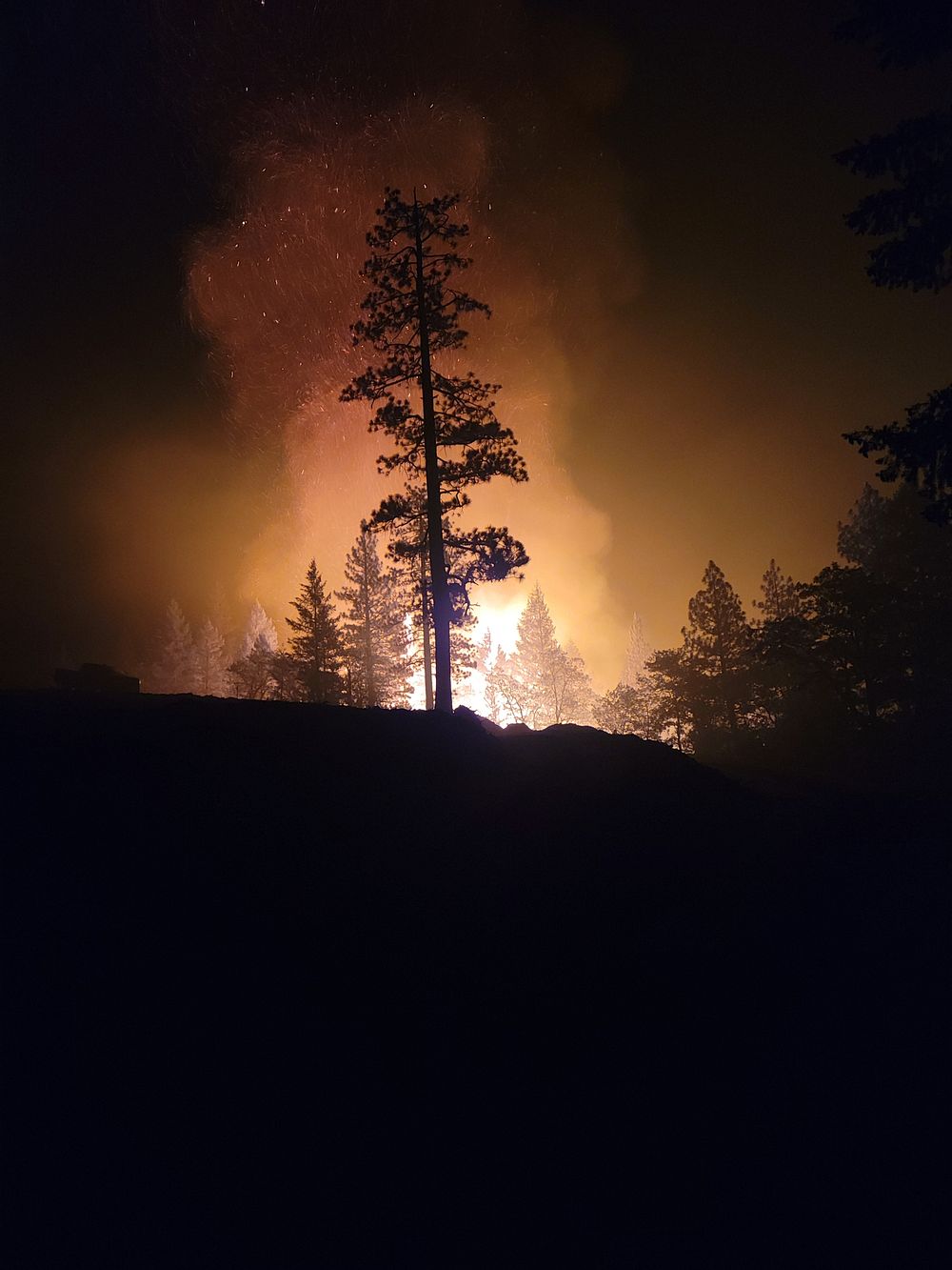 Forest fire breakout, night view. Original public domain image from Flickr