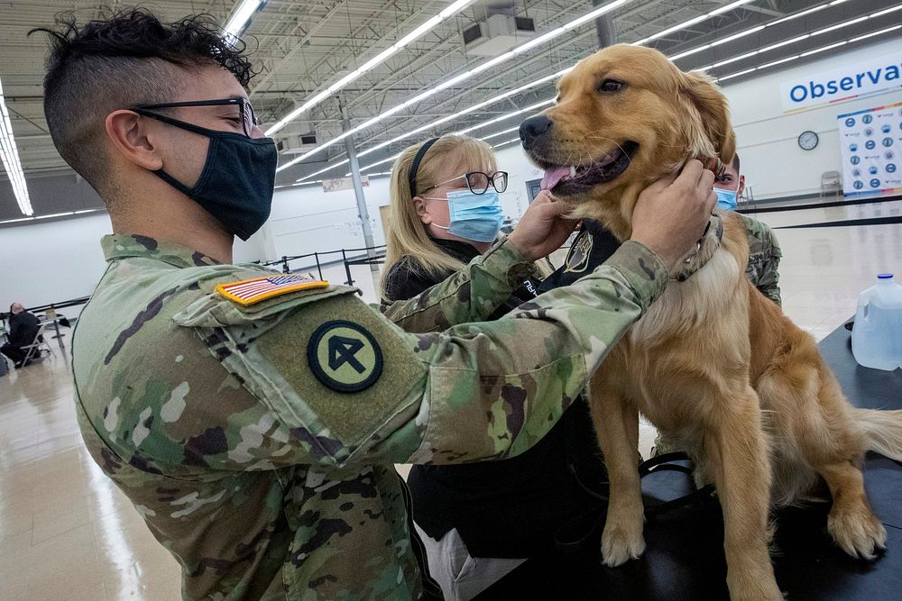 New Jersey Army National Guard, pets Logan, a therapy dog, at the newly opened Burlington County COVID-19 Vaccine Mega-Site…