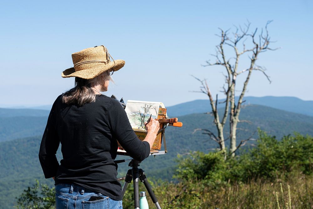Painter at Jewell Hollow Overlook. Original public domain image from Flickr