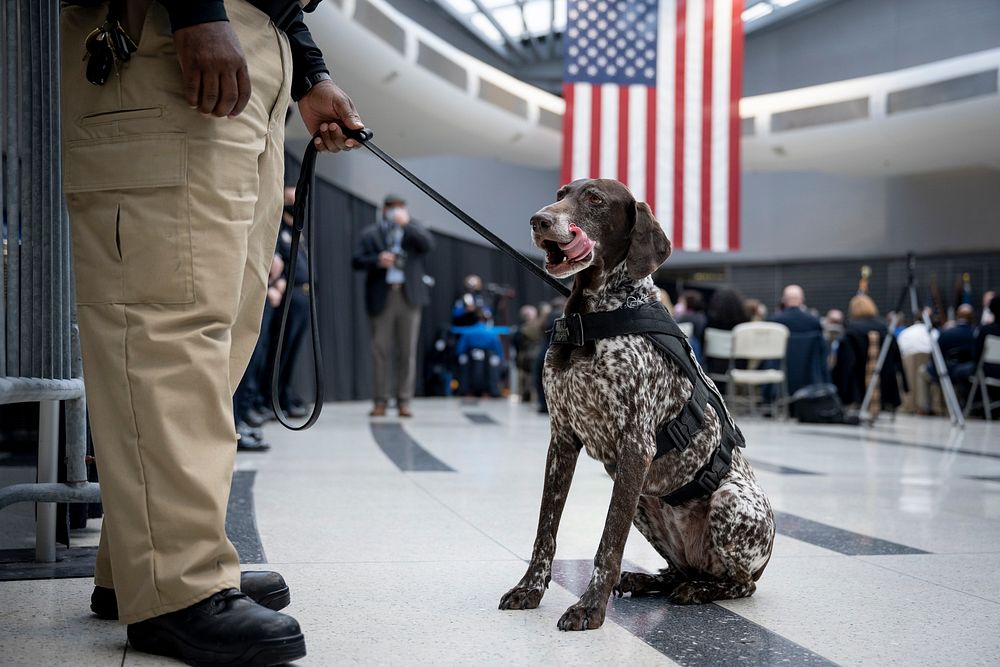 DHS Secretary Alejandro Mayorkas Participates in OAW Appreciation EventPhiladelphia, PA (March 10, 2022) Homeland Security…