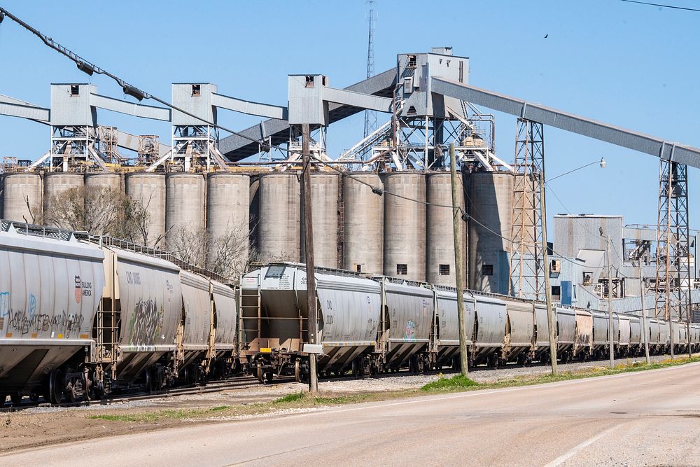 Freight trains from northern States deliver grains to the Cargill-Westgo Grain Elevator and port facility near New Orleans…