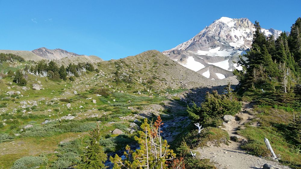 McNeil Point on Mt. Hood National Forest.