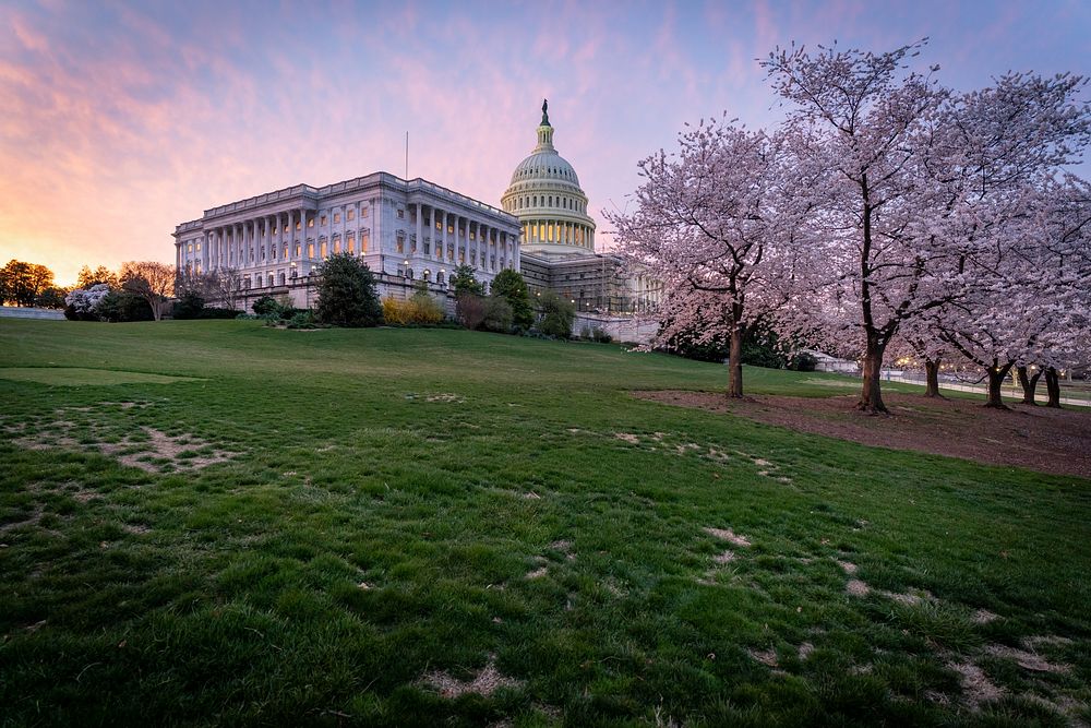 Spring 2022 on the U.S. Capitol CampusCherry blossoms at the U.S. Capitol. -----This official Architect of the Capitol…