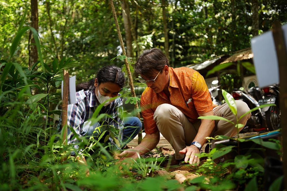 Menanam pohon ulinUSAID Indonesia Deputy Director of Environment Office, Mark Newton, was accompanied by a student of the…