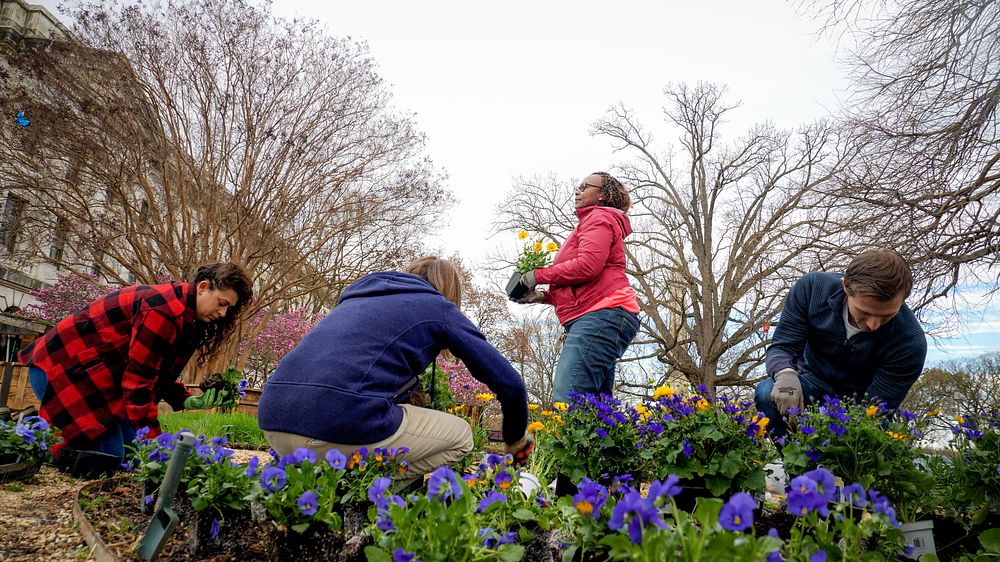 Volunteers, including Ms. Christie Vilsack, help plant flowers and vegetables in the People’s Garden outside of USDA…