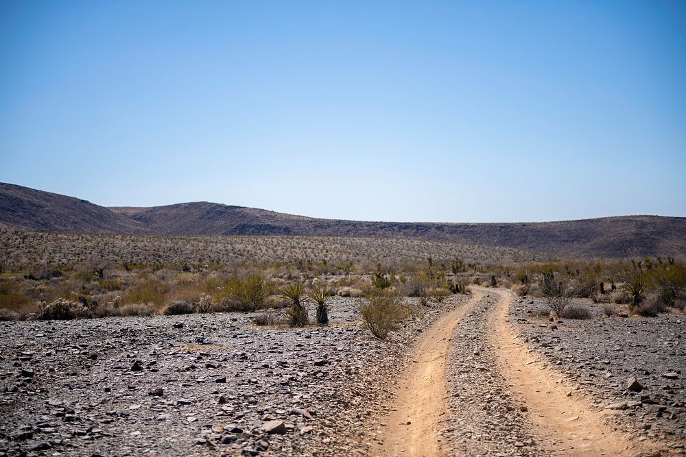 Pinkham Canyon Road, Joshua Tree National Park, California