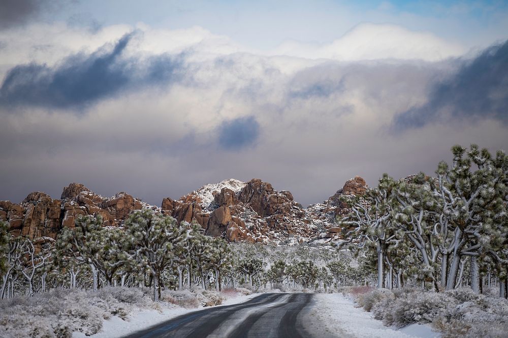 Park Boulevard in the snow