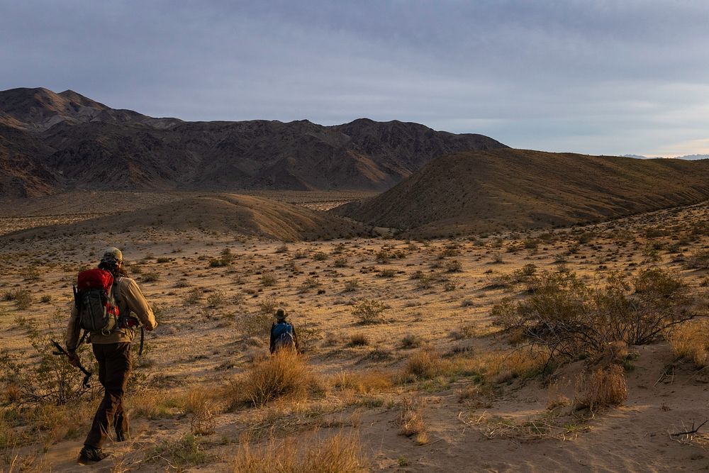 Researchers hiking towards a mountain range, southern California