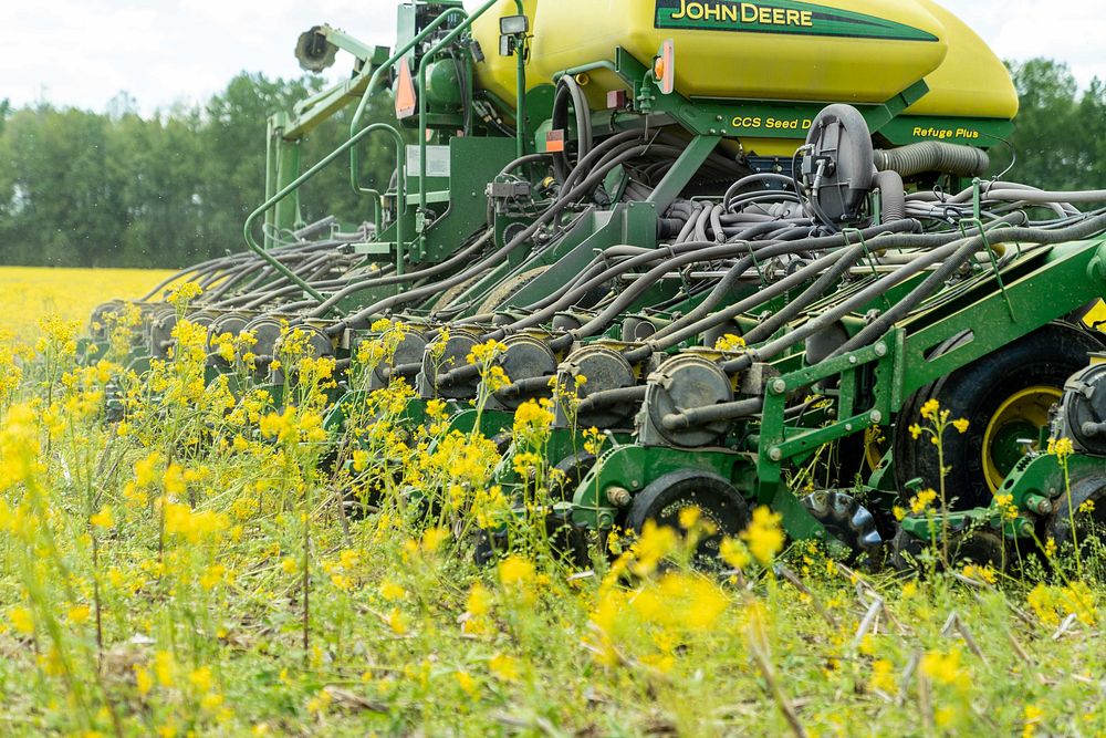 No-till planter planting soybeans into corn residue and wild mustard, Vincennes, Indiana. May 13, 2021. (Indiana NRCS photos…