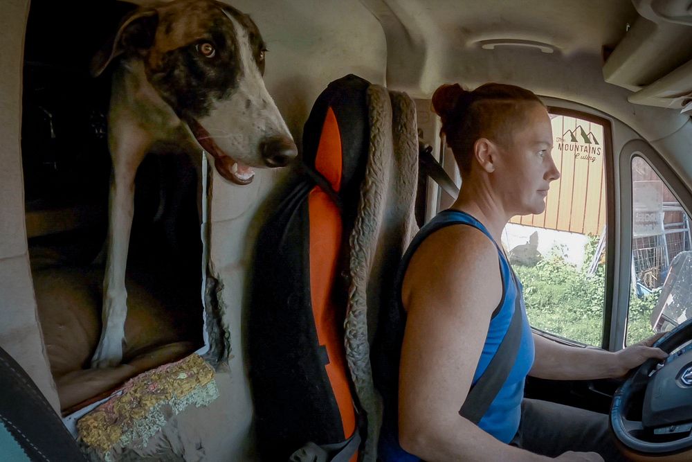 Emily Chamelin, professional sheep shearer, in car with dog. Westminster, Maryland, June 23, 2021. (USDA/FPAC photo by…