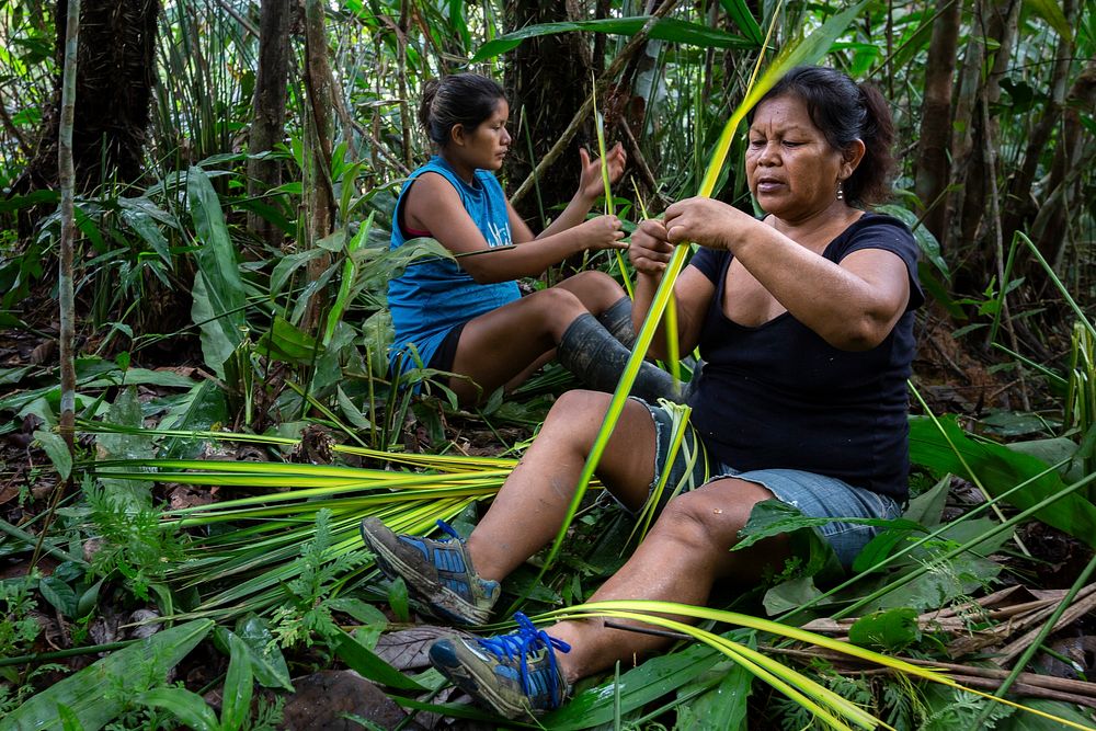 Women picking leaves in the Amazon rainforest. May 15, 2014. (USDA Forest Service photo by Diego Perez) Original public…